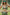 Matcha Green Exhale Sports Bra - High Intensity